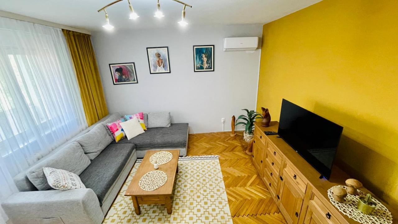 Apartman Jelena II Διαμέρισμα Σρέμσκα Μιτρόβιτσα Εξωτερικό φωτογραφία