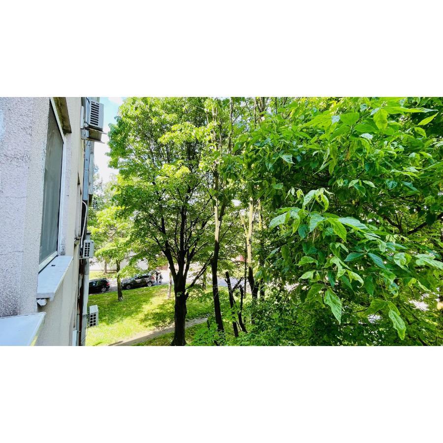 Apartman Jelena II Διαμέρισμα Σρέμσκα Μιτρόβιτσα Εξωτερικό φωτογραφία