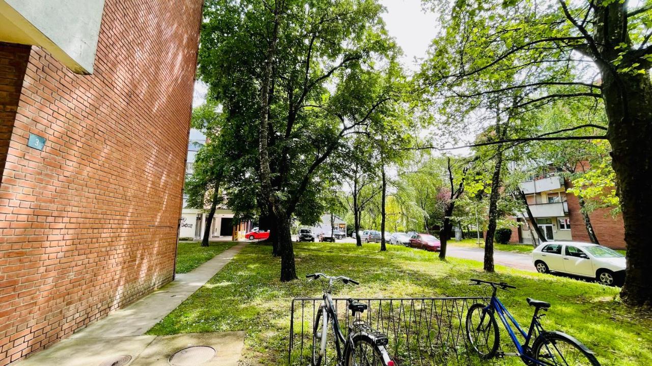 Apartman Jelena II Διαμέρισμα Σρέμσκα Μιτρόβιτσα Εξωτερικό φωτογραφία